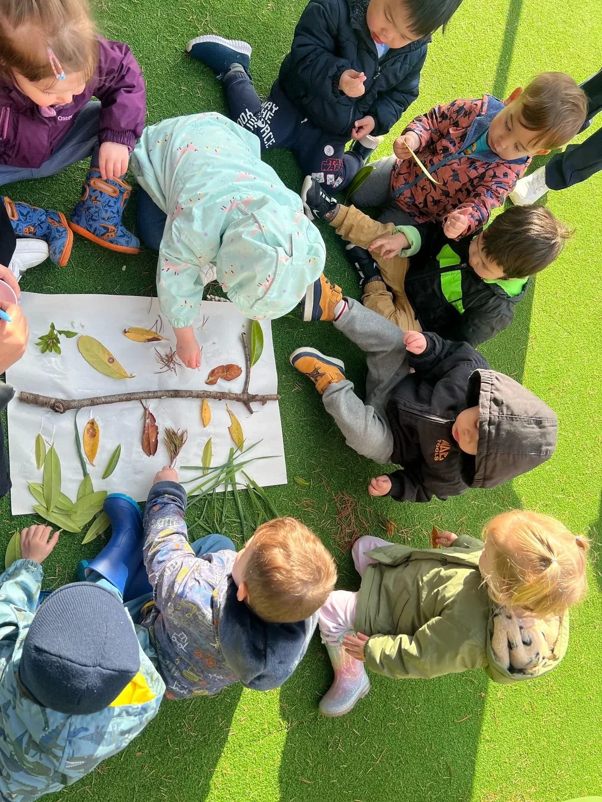 A group of children in rain jackets creating a nature collage with leaves and sticks on the turf